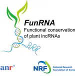 PostDoc position in bioinformatics and artificial intelligence